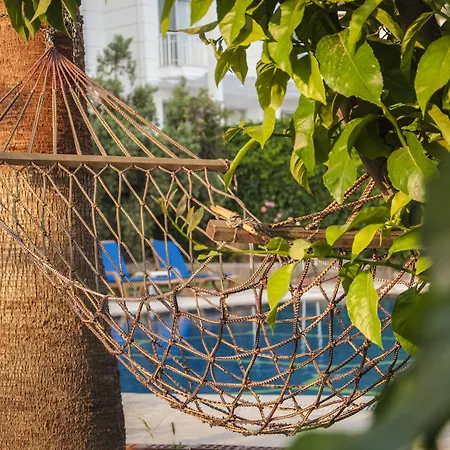 Ξενοδοχείο με διαμερίσματα Turtle *