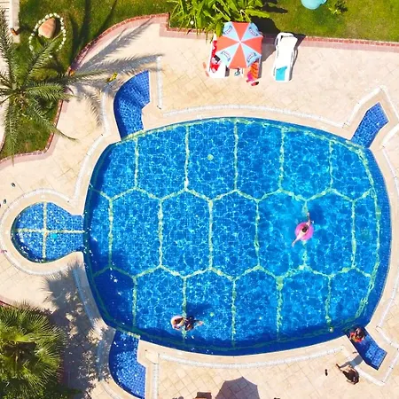 Turtle *